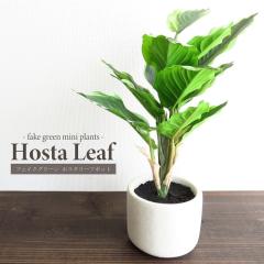 �ϗt�A�� ���� �z�X�^���[�t�|�b�g �A�[�e�B�t�B�V���� �t�F�C�N�O���[�� �M�{�E�V �Z�����g�� ���E���h�` �~�` ������� �C���e���A