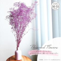 �h���C�t�����[ �v���U�[�u�h�t�����[ �\�t�g�~�j�J�X�~�� �x���[�X���[�W�[ �S����50�`55cm �����ݑ� �����݂��� �u�[�P �p�[�v���s���N