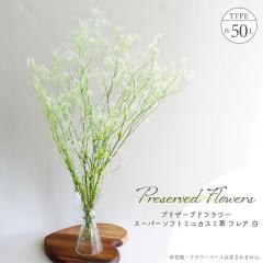 �h���C�t�����[ �v���U�[�u�h�t�����[ �X�[�p�[�\�t�g�~�j�J�X�~�� �t���A �� �S����50cm �z���C�g �O���[�� �~�b�N�X �����ݑ� �����݂�