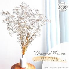 �h���C�t�����[ �v���U�[�u�h�t�����[ �X�[�p�[�\�t�g�~�j�J�X�~�� �S�[���h �S����50�`55cm �����ݑ� �����݂��� �u�[�P �V�R�f�� �� ��