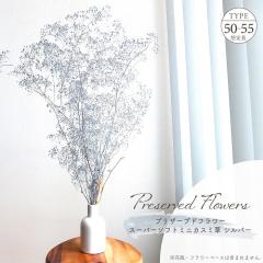 �h���C�t�����[ �v���U�[�u�h�t�����[ �X�[�p�[�\�t�g�~�j�J�X�~�� �V���o�[ �S����50�`55cm �����ݑ� �����݂��� �u�[�P �V�R�f�� �� ��