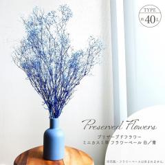 �h���C�t�����[ �v���U�[�u�h�t�����[ �~�j�J�X�~�� �t�����[�x�[�� ���^�� �S����40cm �����ݑ� �����݂��� �u�[�P �V�R�f�� �~�b�N�X 