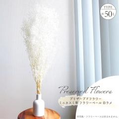 �h���C�t�����[ �v���U�[�u�h�t�����[ �\�t�g�~�j�J�X�~�� ������ �S����50cm �����ݑ� �����݂��� �u�[�P ���^�x�[�W�� �V�R�f�� ��n�_