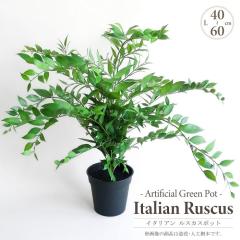 �l�H�ϗt�A�� �A�[�e�B�t�B�V�����O���[�� �C�^���A�� ���X�J�X�|�b�g ��45-60cm �~�j�c���[ ���v���� 4�������� ���� �t�F�C�N�O���[�� 