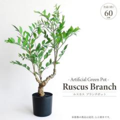 �l�H�ϗt�A�� �A�[�e�B�t�B�V�����O���[�� ���X�J�X �u�����`�|�b�g ��60cm �~�j�c���[ ���v���� 4.5�������� ���� �t�F�C�N�O���[�� �C