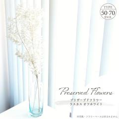 �h���C�t�����[ �v���U�[�u�h�t�����[ ���X�J�X �I�t�z���C�g 25g�� ��L50�`70cm �V�R�f�� ���[�t �t�� �ԍ� �A�����W�����g �z���C�g �x