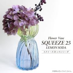 �t�����[�x�[�X �Ԋ� �X�N�C�[�Y 25 �������\�[�_ �K���X�x�[�X �ԕr �A�����W�����g �C�G���[ �u���[ �O���f�[�V���� �f�B�X�v���C ����