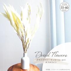 �h���C�t�����[ �E�B���[���[�J�� �I�t�z���C�g �S����55�`60cm �V�R�f�� �T���V���H ���[�t �t ��n�_�� �A�����W�� �C���e���A