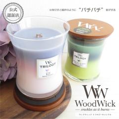 �y�|�C���g10�{�z�E�b�h�E�B�b�N WoodWick �g�����W�[�L�����h�� �W���[M �A���}�L�����h�� �p�`�p�`�� �ؐ��c �ؐ��W�t�� �p���t�B�� �\