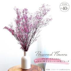 �h���C�t�����[ �v���U�[�u�h�t�����[ �~�j�J�X�~�� �t�����[�x�[�� ���^���[�Y �S����40cm �����ݑ� �����݂��� �u�[�P �V�R�f�� �~�b�N