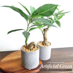 �l�H�ϗt�A�� ���� �t�F�C�N�O���[�� �Z�����g�|�b�g �A�[�e�B�t�B�V�����O���[�� �A�����W�����g ��̓� �M�t�g ���蕨 �C���e���A