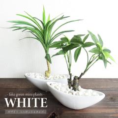 �ϗt�A�� ���� �z���C�g �~�j�|�b�g A�^�C�v �p�L�� ���b�J �A�[�e�B�t�B�V���� �t�F�C�N�O���[�� ���픫 ������� �C���e���A