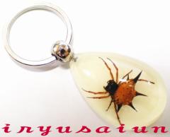 N w Specimen key ring  W{ L[z_[ Vi v[g Mtg  pI Зʉ_ʔ