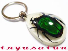 cmJiu Specimen key ring  W{ L[z_[ Vi v[g Mtg  pI Зʉ_ʔ