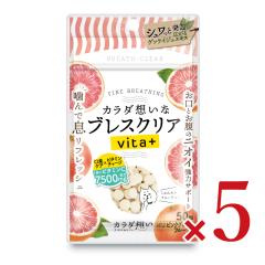 �u���X�N���A vita+ �s���N�O���[�v�t���[�c 50���~5��