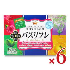 ���C�I���P�~�J�� �o�X���t�� ��p���A������ 12�� �i4��ށ~3���j�~6��