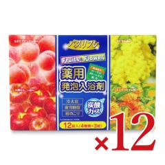 ���C�I���P�~�J�� �o�X���t�� ��p���A������ �t���[�c&�t�����[ 12�� �i4��ށ~3���j�~12��