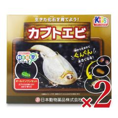 �j�`�h�E ����ώ@�Z�b�g �J�u�g�G�r �~ 2��