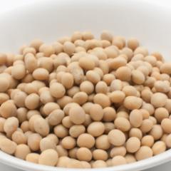 哤 3kg  Ɩp 퉷 哤 \r[ } r[Y _CY Soybean@