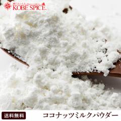 RRibc~NpE_[ 100g 䂤pPbg  Coconut Milk Powder,o^C