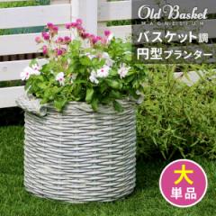 oXPbgv^[ ~^ TCY Old Basket I[hoXPbg BSPL-330WHT  a33cm K[fjO K[f|bh v^[ 