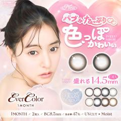 �G�o�[�J���[ �}���X���[ 2�����~2�� / �������� / ���[����