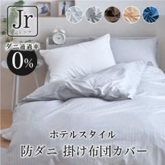 |zcJo[ WjA 135~185cm _jʂȂn x@ h_j   1܂ŃNbN|Xgz