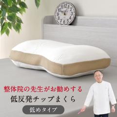 ̎t߂ `bv 32~54cm  ᔽE^`bv܂ ̈U Q QԂ   ܂ 搶ďC J[