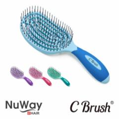 yKizNuWay4Hair C Brush u[ NWC-BL ^ O[ NWC-GN ^ sN NWC-PK ^ p[v NWC-PE e e@ Tꔄi v