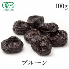 �v���[�� �h���C�t���[�c 100g �I�[�K�j�b�N �L�@JAS�F�� ���Y�� �����s�g�p ���Y�� �����v���[�� �h���C�v���[�� �v���� ������ �X���� 