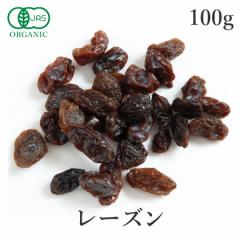 hCt[c hC [Y 100g I[KjbN L@JAS JtHjA[Y [Y Ԃǂ  hC[Y 