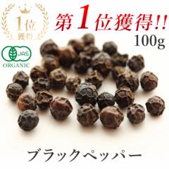 ubNybp[ Ӟ z[ I[KjbN 100g Ӟ L@JAS ōiE̍Ӟ _sgp R͔| Ӟ ubNyp[