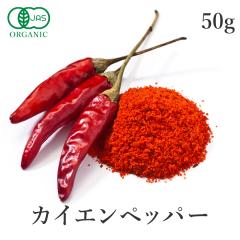 JCG pE_[ 50g I[KjbN XpCX hq JGybp[ JCGk bhybp[ ԓhq `ybp[ ꖡhq