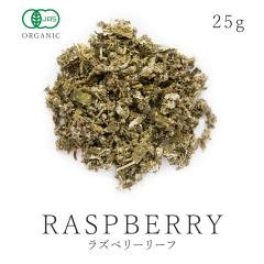 Yx[[t 25g I[KjbN L@JASF Y [bpLC`S Yx[[teB[ E[}Yn[u }^jeBn[u