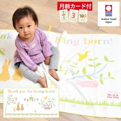 �����^�I�� �K�[�[�^�I���P�b�g HAKAROKKA �n�J���b�J ������h�J �������� �x�r�[ �M�t�g �K�[�[�^�I�� �������̐e�q �g���v�t���^�I�� 