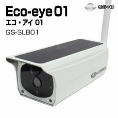 hƃJ Eco-eye 01 GREAC 01 GlanshieldiOV[hj