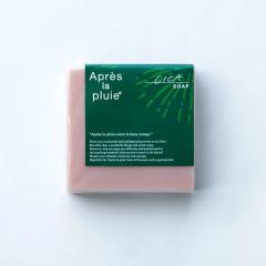 AvvC VJ\[v 80g [ ΂ Ό Ō` XLPA Sg  Tꔄi ] Apres la pluie