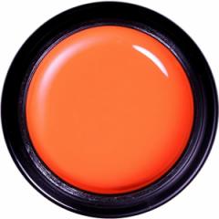 �p���W�F�� �f�U�C�i�[�Y���C�� �J���[�W�F�� DNE03 �L�����b�g / 4g