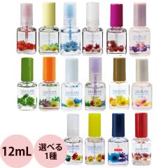 �I�ׂ� 1�{ �s�[�V���C�� �L���[�e�B�N���I�C�� �X�N������ SQ  12mL [ �l�C���I�C�� �� �l�C���T���� �l�C �v���[���g �M�t�g �������� 