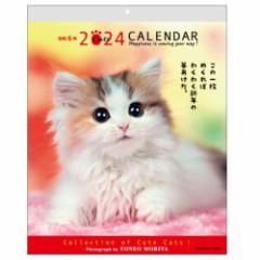 XcėY bZ[WJ_[CAT 2024 Calendar Ǌ|J_[2024N XPW[ ˂ CeA ߘa6N 