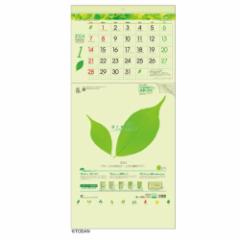 O[3eco 2024 Calendar Ǌ|J_[2024N ォ珇^Cv p  ߘa6N 