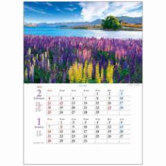 ̔i 2~Vړ 2024 Calendar Ǌ|J_[2024N tHg CeA ߘa6N 