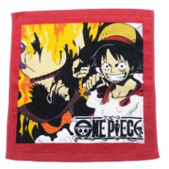 s[X nh^I EHbV^I lJ ONE PIECE 34~36cm AjLN^[ ObY [։