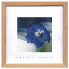 t`tHgOtB[ ʐ^ A[g French Photography Delphinium elatum ZFP-51918 zt CeA i