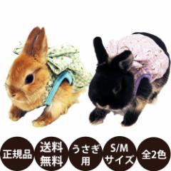 C{[ rabbit n[lXEGA `FbNhX S M ( x_[ u[ )