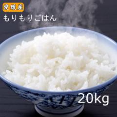  20kg 育͂20kg(10kg~2)QYyzkC,k,ꏜ