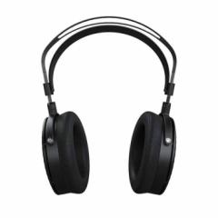 DUNU-TOPSOUND 嵐 ARASHI 有線 ヘッドホン 平面駆動ドライバー 平面磁界型ドライバ リケーブル対応 ドゥーヌートップサウンド