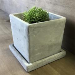 Solid Planter CUBE LTCY v[F  DULTON _g RN[g v^[