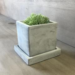 Solid Planter CUBE STCY v[F  DULTON _g RN[g v^[