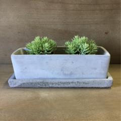 Solid Planter RECTANGLE  LTCY v[F  DULTON _g v^[ RN[g